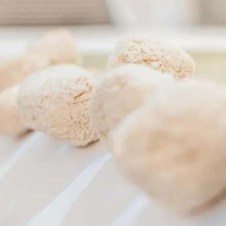 Craft-nel Cuore Di Apartment Siena